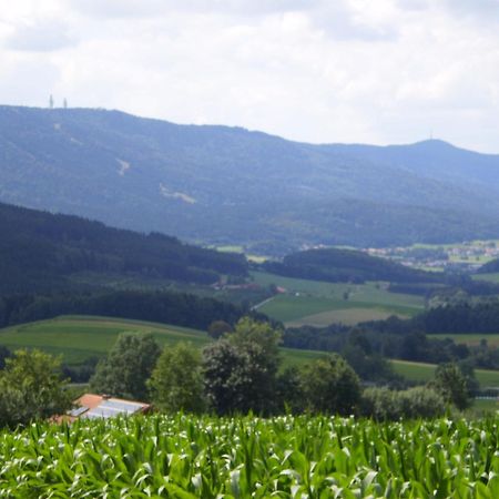 Gasthof - Pension Schamberger 纽科琴贝海尔 外观 照片